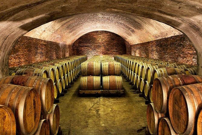 Piemonte Vineyards by Yourself from Turin - Business Car with English Chauffeur - How winery visits and tastings fit into an 8-hour day