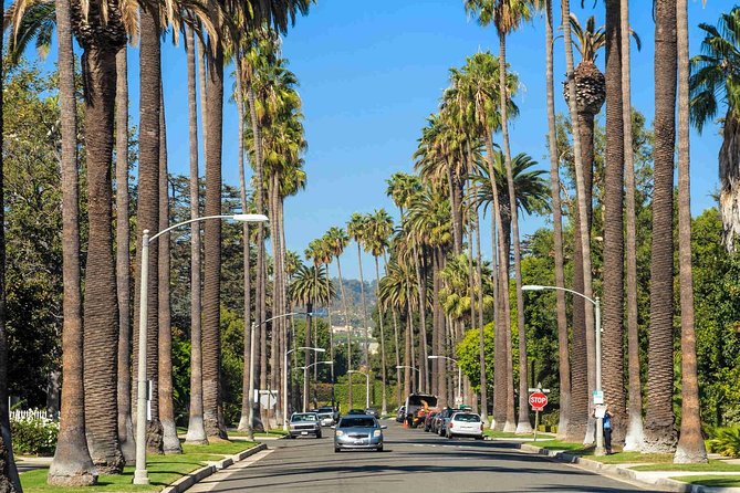 Private 4-Hour Limo Tour of LA by a TV Personality with Drinks - Drinks + a Guide Who Actually Makes It Fun