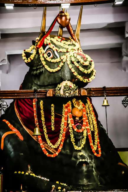 Private car and driver Bangalore Excursion to Bannerghatta - Dodda Basavana Gudi (Bull Temple) and its giant Nandi