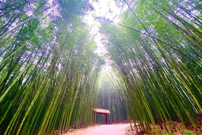Private Car and Tour Guide Exploring Northern Vietnam - Cao Bang Geopark: The Core Scenic Thread