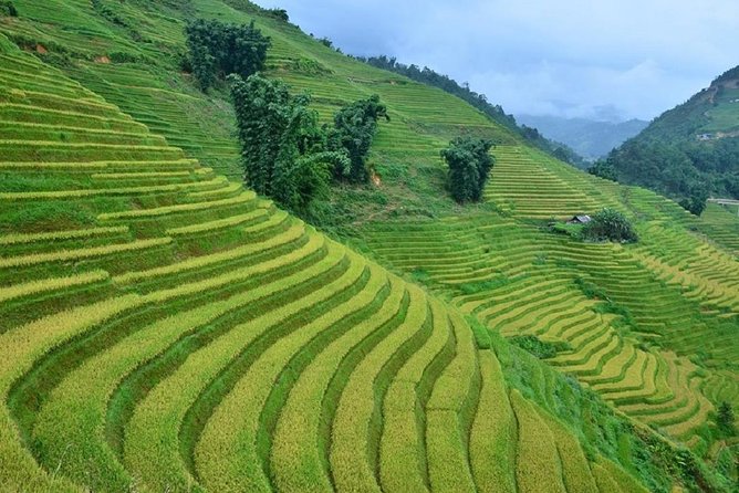 Private Car and Tour Guide Exploring Northern Vietnam - Car Choice and Guide Language: Comfort Is Part of the Experience