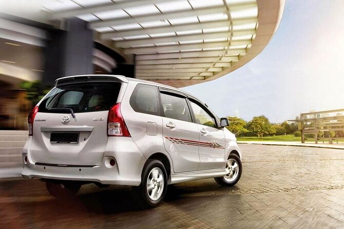 Private Car Charter - Explore Best of Bali - Price and Value: $30 Per Person (Plus the Tickets)