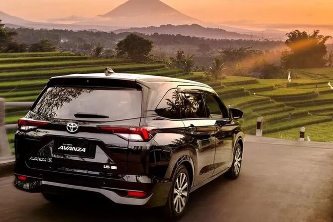 Private Car Charter Tour With Driver In Bali - Key highlights worth planning around