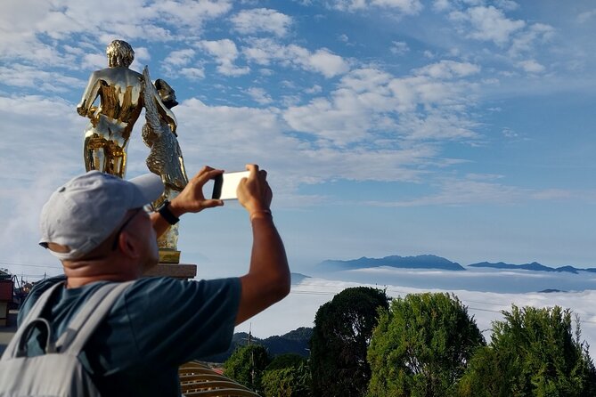 Private Car Da Nang/Hoi An To Golden Brigde with English Driver - Price and Value: Paying for a Smooth Day, Not Just Seats