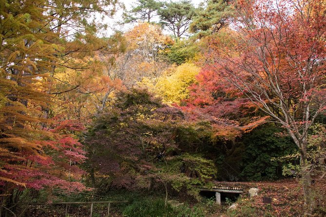 Private Car Day Trip to the Kobe Mountains, Gardens and Hot Springs from Osaka - Budget and Costs: How This Tour Adds Up (So You Don’t Get Surprised)