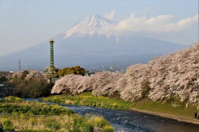 Private Car for Mt. Fuji 5th Station and more (customizable) - Oshino Hakkai: Fuji’s Spring-Water Moment First