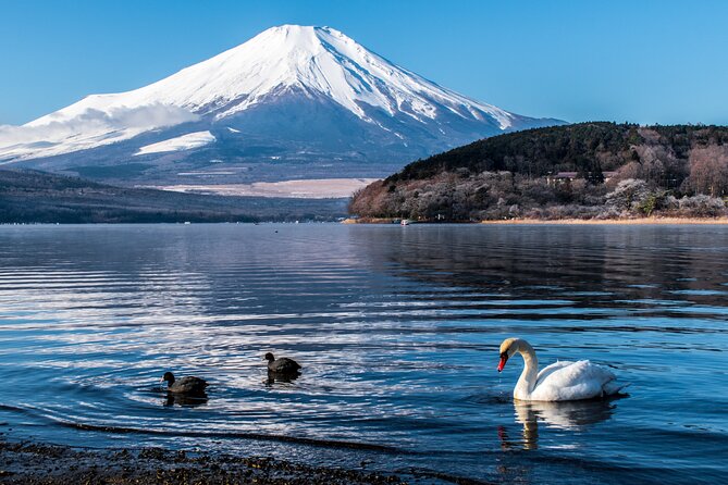Private Car for Mt. Fuji 5th Station and more (customizable) - Lake Kawaguchiko: The Reflecting-Pool Finale