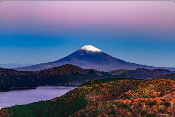 Private Car for Mt. Fuji 5th Station and more (customizable) - Private Car vs. Actual Tour Guide: Know What You’re Buying
