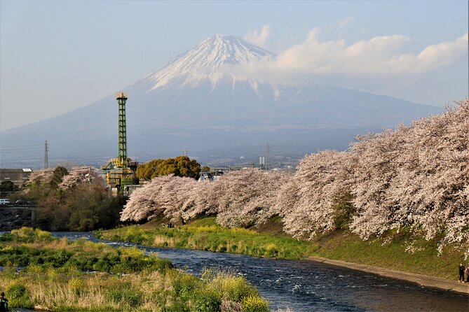 Private Car for Mt. Fuji 5th Station and more (customizable) - Oshino Hakkai: Fuji’s Spring-Water Moment First