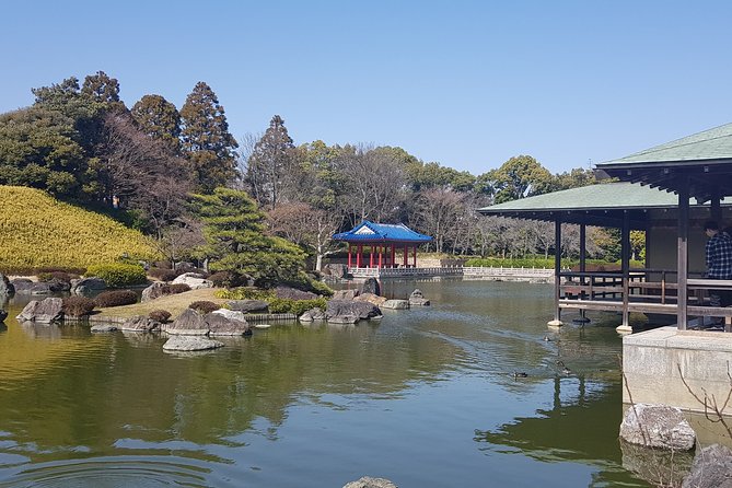Private Car Full Day Tour of Osaka Temples, Gardens and Kofun Tombs - Sakai City Hall observatory: the panoramic before the kofun