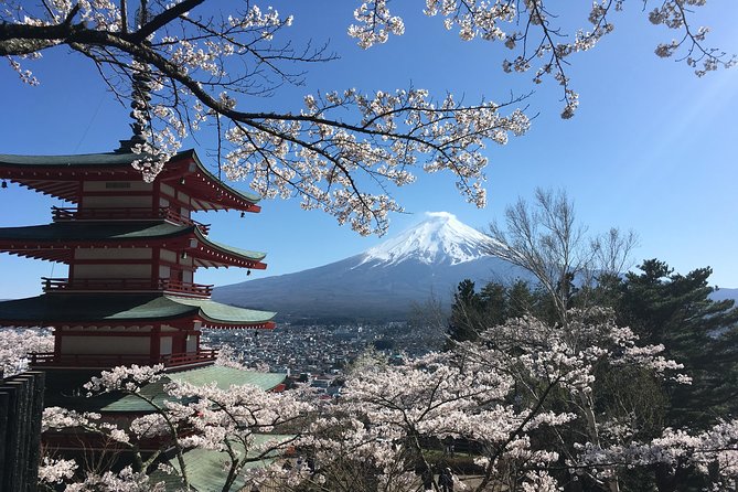 Private Car Mt Fuji and Gotemba Outlet in One Day from Tokyo - Chureito pagoda and Arakura Sengen Shrine: the Fuji photo that anchors the day