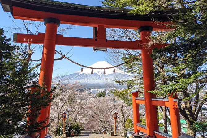 Private Car Mt Fuji and Gotemba Outlet in One Day from Tokyo - Oshino Hakkai and the Fujinomination shrines: old-world Fuji pilgrimage