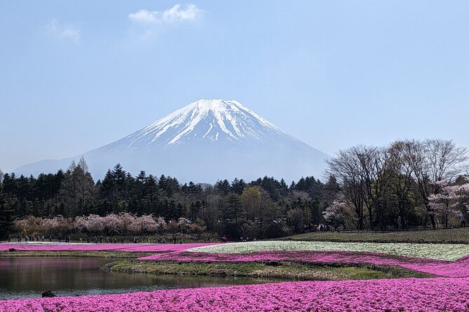 Private Car Mt Fuji and Gotemba Outlet in One Day from Tokyo - Mt. Fuji 5th Station: worth it if it’s open, but know the toll