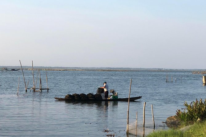 Private Car Sightseeing from Hue to Hoi An - Driver quality and the English-language reality