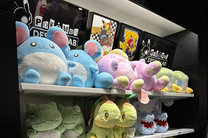 Private Car Tour for Anime Manga Game and Otaku Tour in Tokyo - Key things to know before you go