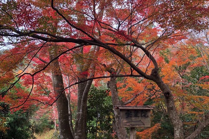 Private car tour in Kyoto (up to 4) - How to Plan Your Day: Tickets, Lunch, and Walking Load