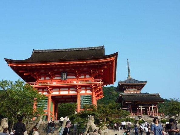 Private car tour in Kyoto (up to 9) - Key highlights you’ll feel right away