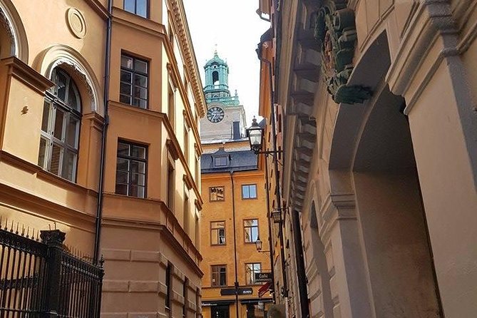 Private Car Tour of Stockholm with a Live guide, including the Vasa museum. - Guides: The Difference Between a Drive-By and a Story-Driven Day
