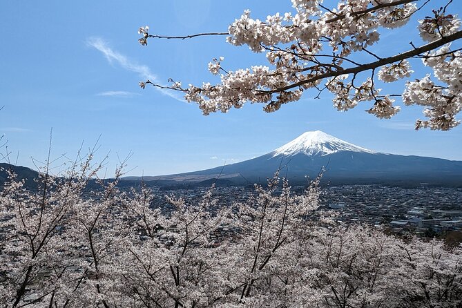 Private Car Tour to Mt. Fuji Lake Kawaguchiko or Hakone - Key things that make this Mt. Fuji private car day work