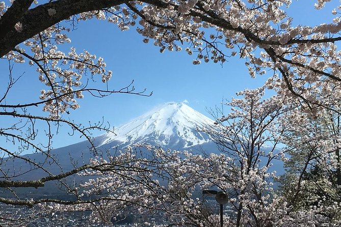 Private Car Tour to Mt. Fuji Lake Kawaguchiko or Hakone - Lake Kawaguchiko Core Stops: Shrines, Flower Parks, and Easy Wins