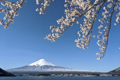 Private Car Tour to Mt. Fuji Lake Kawaguchiko or Hakone - Getting Out of Tokyo Efficiently: Pickup, Timing, and Real-World Traffic