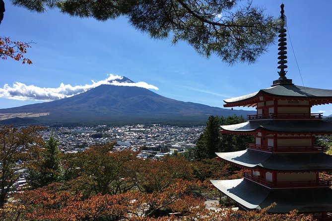 Private Car Tour to Mt. Fuji Lake Kawaguchiko or Hakone - The Aokigahara Cave Options: Ice, Wind, and Bat Caves