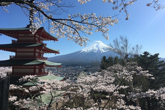Private Car Tour to Mt. Fuji Lake Kawaguchiko or Hakone - The 5th Station Reality Check: Toll Fee, Seasonal Closures, and Timing
