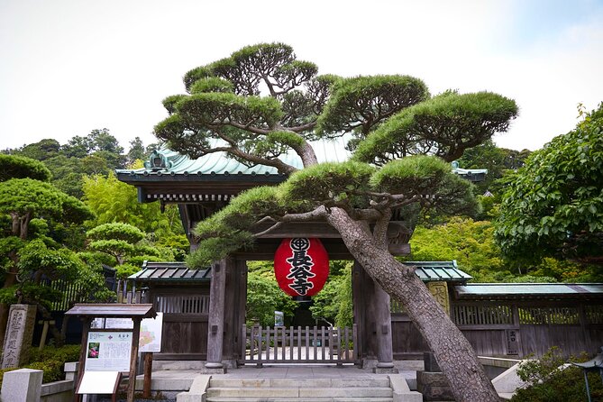 Private Car Tour to see Highlights of Kamakura, Enoshima, Yokohama from Tokyo - Kamakura’s Great Buddha and Bamboo Grove Pairing