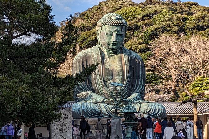 Private Car Tour to see Highlights of Kamakura, Enoshima, Yokohama from Tokyo - Flower Seasons at Hasedera and the Samurai Shrine Vibe