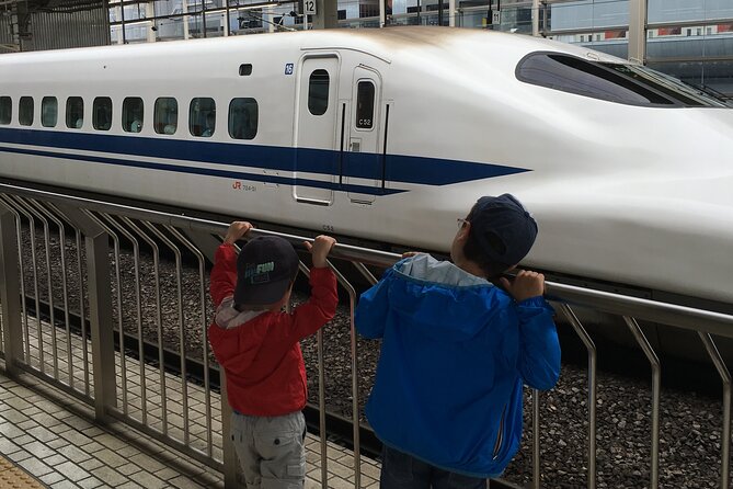 Private Car transfer from Narita airport to Tokyo - What You Actually Get During the Ride: Mobile Ticket, Driver Tips, and Practical Help