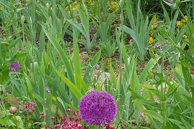 Private Car Trip to Giverny Garden from Paris - Stop 2: Clos Normand gardens—self-guided but timed
