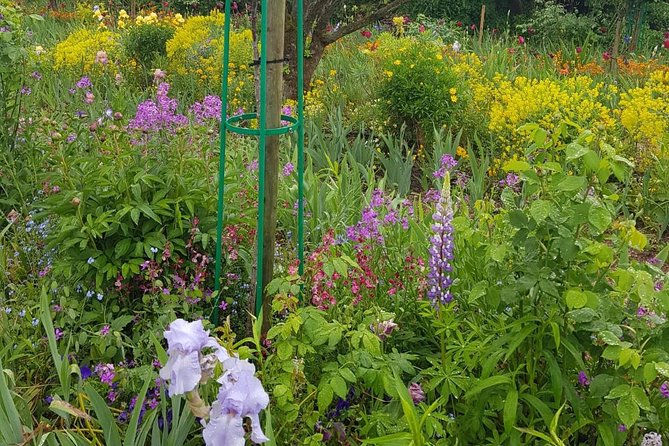 Private Car Trip to Giverny Garden from Paris - What “on your own” really means in Giverny