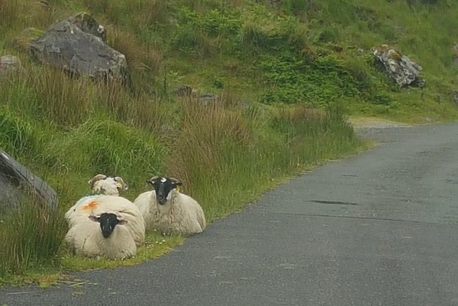 Private Chauffeur Service From Dublin to Lahinch - The Road Time to Lahinch: How to Use the 3 Hours Wisely