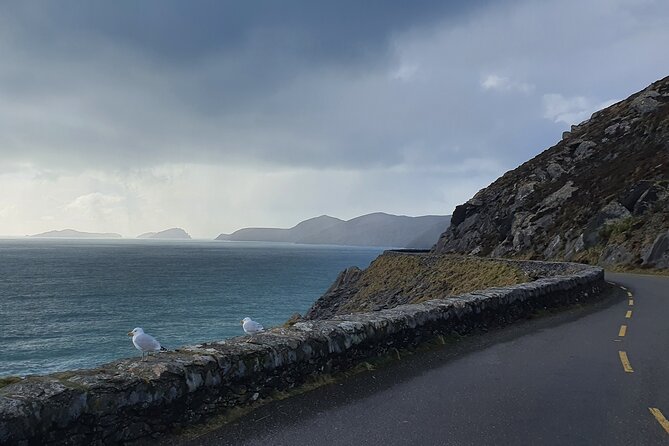 Private Chauffeur Service From Killarney to Shannon Airport - A Possible Limerick Detour: When the Ride Becomes Personal