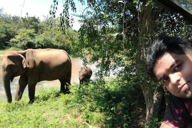 Private Dambulla Sigiriya Tour from Kandy with friendly chauffeur - Stop 4: Sigiriya Rock Fortress (about 3 hours on the rock)