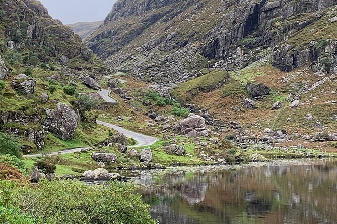 Private Killarney National Park Tour with an accredited chauffeur/guide - First, You’re Visiting a 10,000-Hectare Scene-Stealer