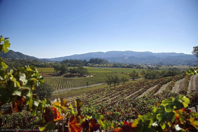 Private Limo Wine Tours in Sonoma and Napa Valley - What the Chauffeur Experience Feels Like (Based on Real Feedback)