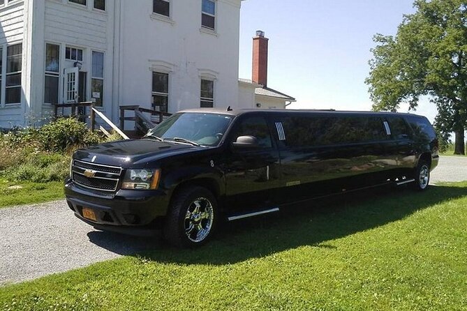 Private Roundtrip Transfer: To Las Vegas by Luxury Limo - Your chauffeur experience: professional, punctual, and genuinely helpful