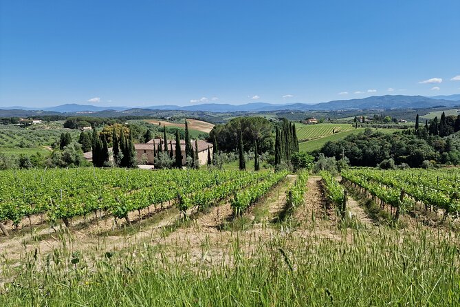 Private Wine Tour best of Chianti Tuscany 6 hours Limo Service - Private transport and how the 6-hour clock stays on your side