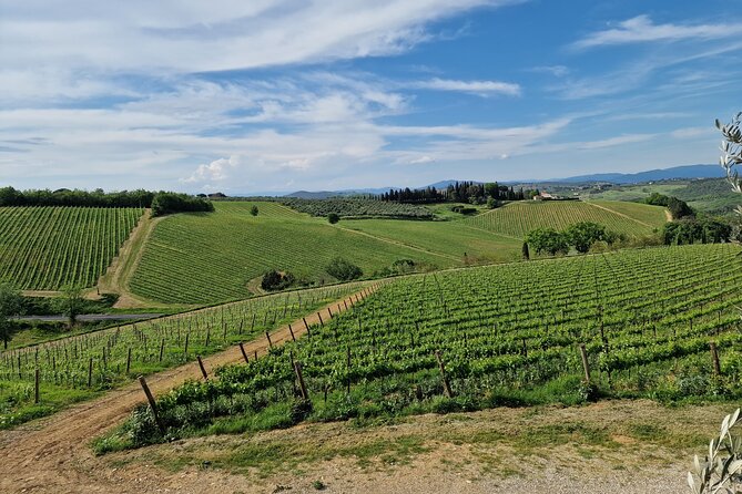 Private Wine Tour best of Chianti Tuscany 6 hours Limo Service - Stop 1: Poggio Amorelli for lunch, tastings, balsamic, and cellar time