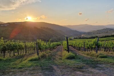 Private Wine Tour best of Chianti Tuscany 6 hours Limo Service - Pickup in Florence: start easy, skip the map work