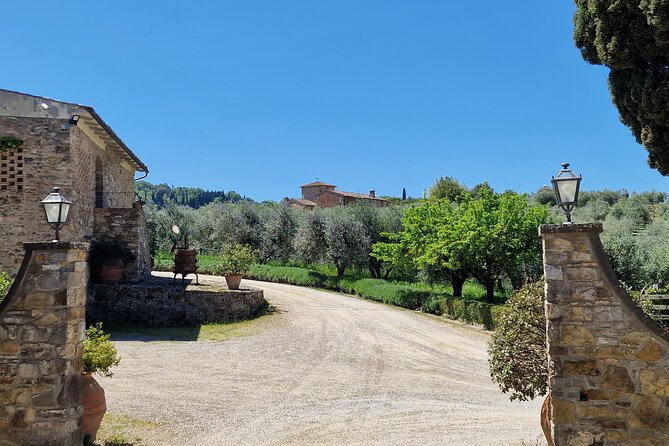Private Wine Tour best of Chianti Tuscany 6 hours Limo Service - Stop 2: Antinori nel Chianti Classico with a free 30-minute visit