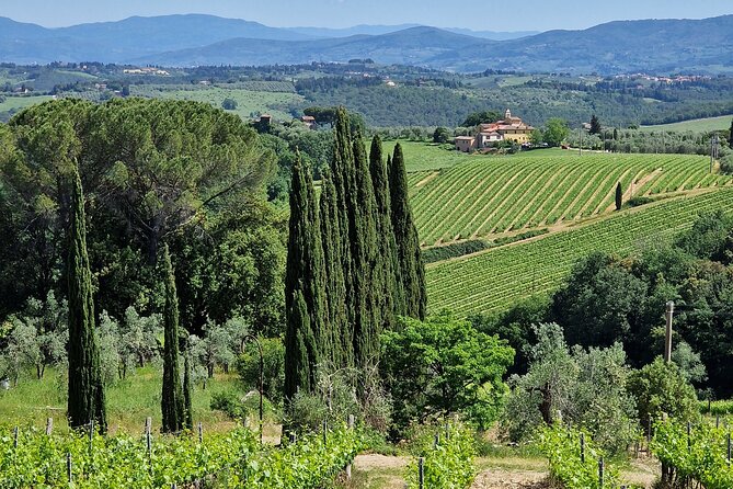 Private Wine Tour best of Chianti Tuscany 6 hours Limo Service - Stop 3: Piazzale Michelangelo for a quick Florence view