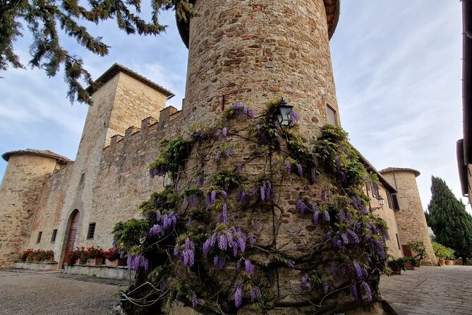 Private Wine Tour best of Chianti Tuscany 6 hours Limo Service - Price and value: $806.68 for up to four, plus €70/person at the winery