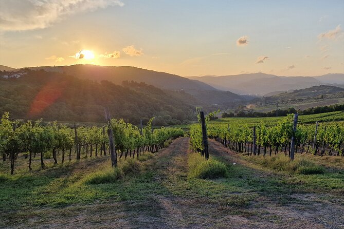Private Wine Tour best of Chianti Tuscany 6 hours Limo Service - Pickup in Florence: start easy, skip the map work