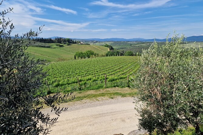 Private Wine Tour Top Wineries, Limousine Service, Florence Tours - How the Day Flows: Flexible Winery Time Without Wasting Minutes