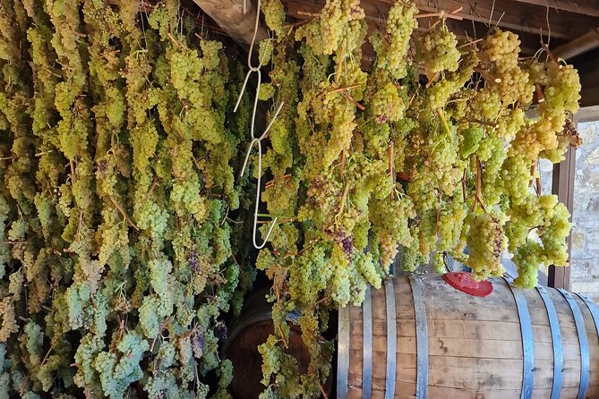 Private Wine Tour Top Wineries, Limousine Service, Florence Tours - Strada Statale 222 Chiantigiana and Conca d’Oro: Scenic Stops That Don’t Drag