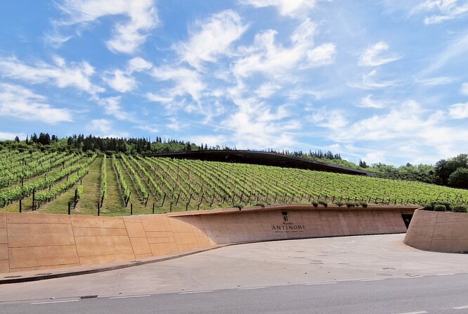Private Wine Tour Top Wineries, Limousine Service, Florence Tours - Piazzale Michelangelo: Photo Time With a Driver Doing the Work