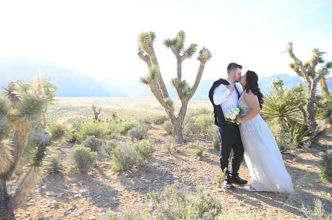 Red Rock Canyon Wedding by Private Limousine - Weather and Timing Tips That Keep the Day Smooth