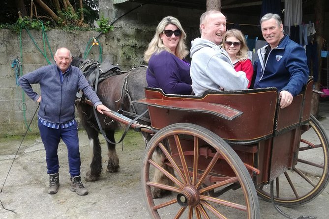 Ring of Kerry Tour Private Chauffeur Driven From Killarney - Private Ring of Kerry With Hotel Pickup: how the day feels